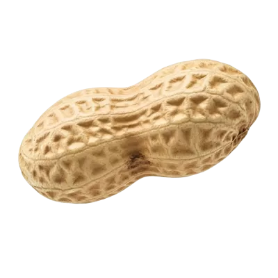 Imagen PNG para descargar